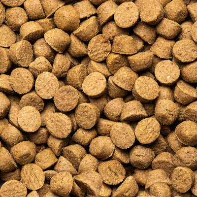 Oven-Baked Tradition Hypoallergenic Duck Dry Food For Small Breed Adult Dogs - Oven-baked kibble close-up - PetMax Canada