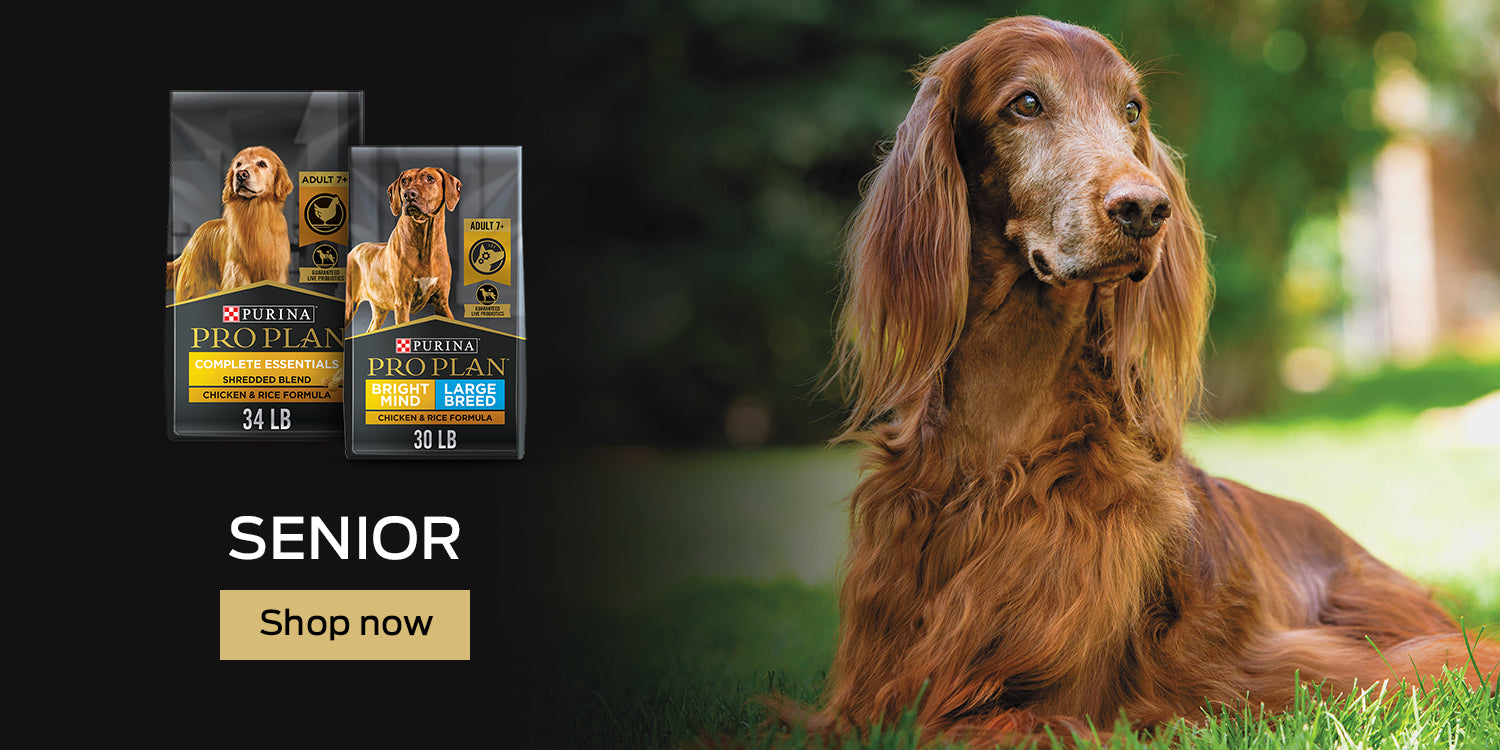 Buy Pro Plan Senior Bright Minds Dog Food Online in Canada at PetMax.ca