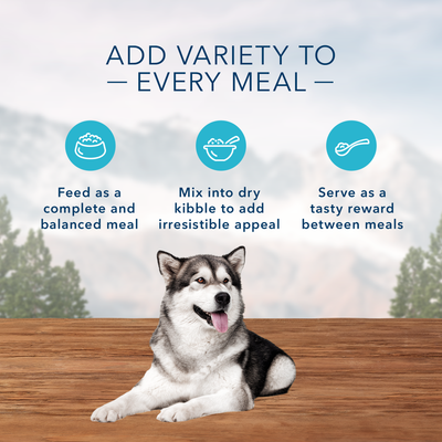 Blue Buffalo Wilderness Duck & Chicken Grill Grain-Free Canned Dog Food - Image 3 - Blue Buffalo - PetMax Canada