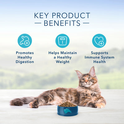 Blue Buffalo Tastefuls Chicken Indoor Natural Adult Dry Cat Food - Image 4 - Blue Buffalo - PetMax Canada