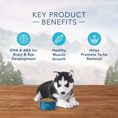 Blue Buffalo Wilderness Puppy Food Chicken Formula - Image 5 - Blue Buffalo - PetMax Canada