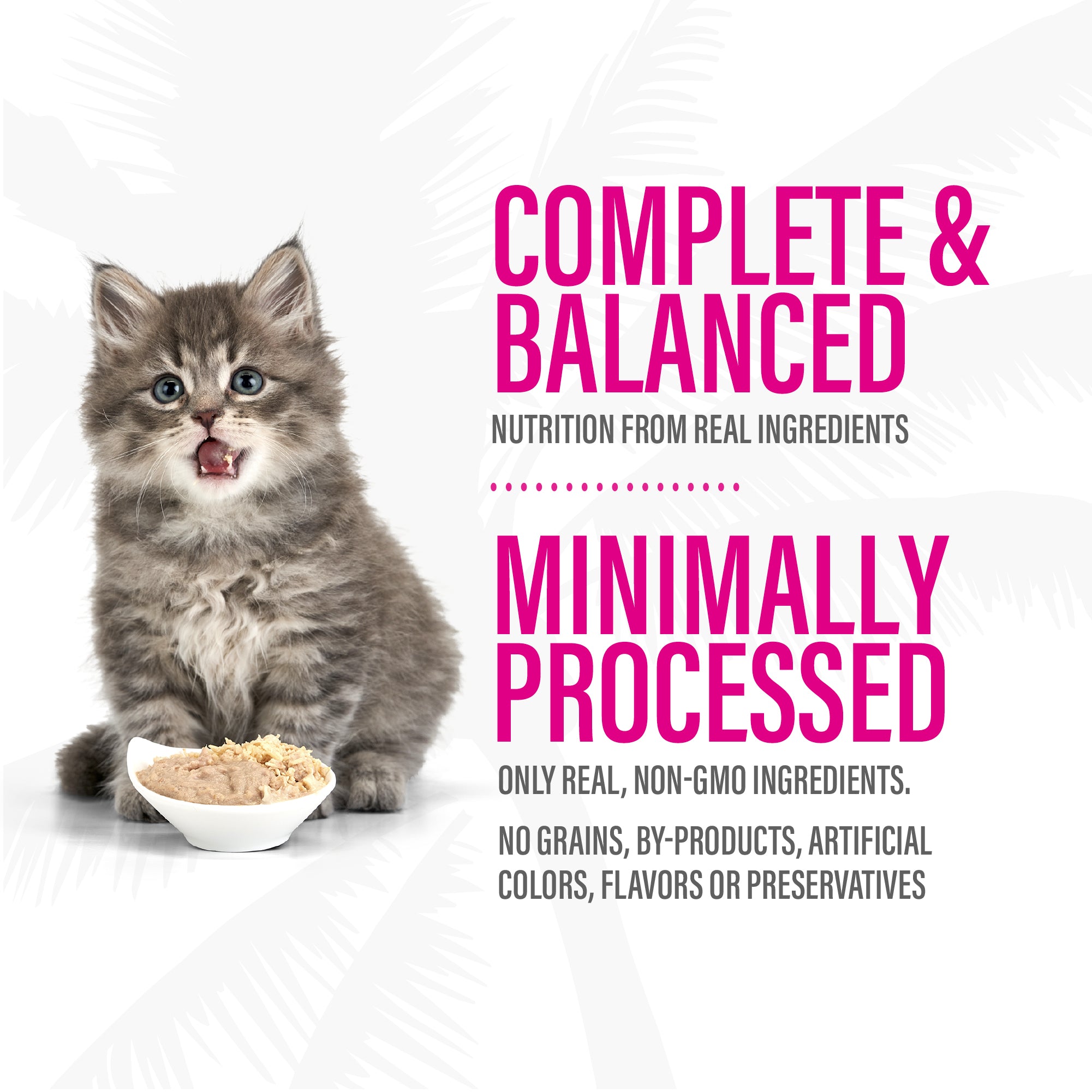 Tiki Cat Baby Pâté Chicken, Salmon & Chicken Liver Recipe Wet Kitten Food - Product Highlights 7 - Tiki Cat - PetMax Canada