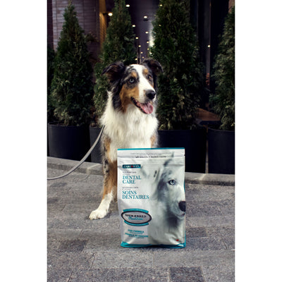 Oven Baked Tradition Dental Care Dry Food For Adult Dogs