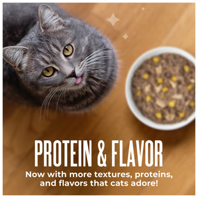 Tiki Cat Aloha Friends Tuna, Shrimp & Pumpkin Recipe in Broth Wet Cat Food - Product Highlights 4 - Tiki Cat - PetMax Canada