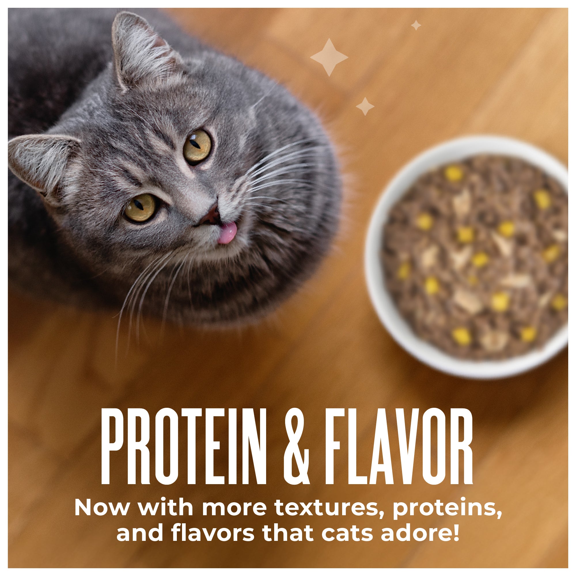 Tiki Cat Aloha Friends Tuna & Pumpkin Recipe in Broth Wet Cat Food - Product Highlights 4 - Tiki Cat - PetMax Canada