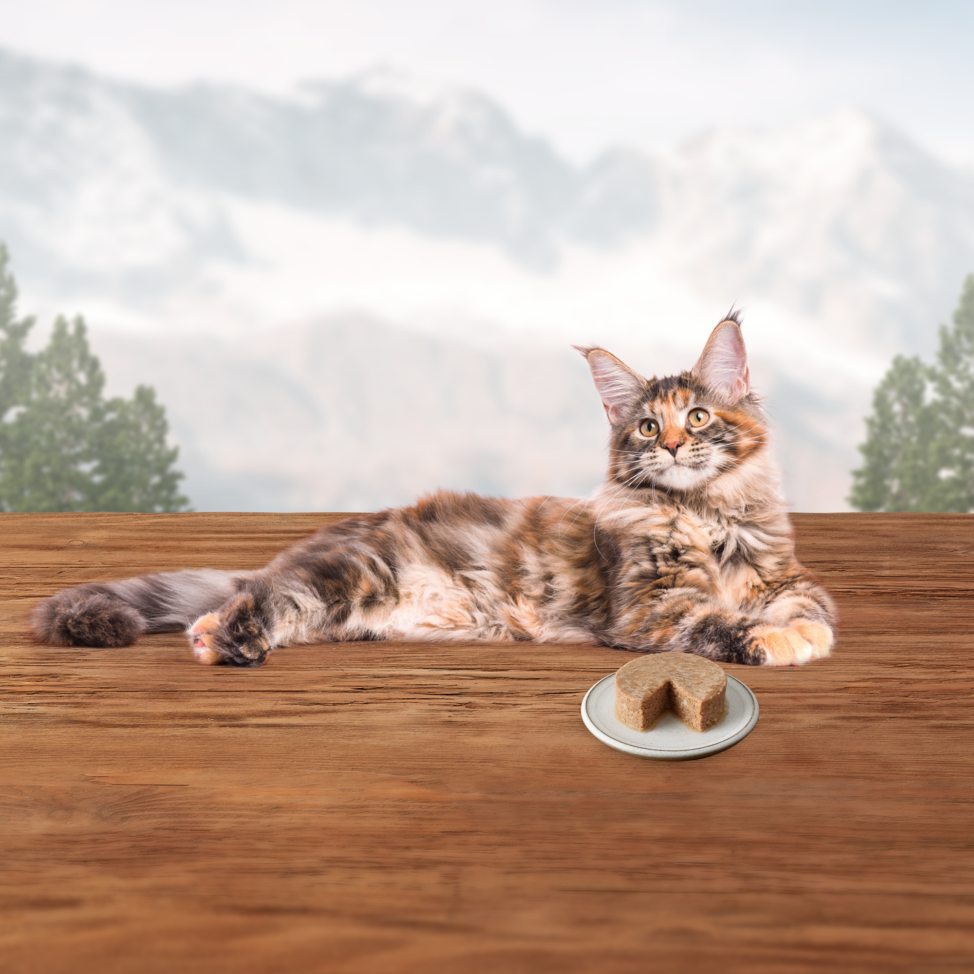 Blue Buffalo Wilderness Canned Cat Food Turkey - Image 6 - Blue Buffalo - PetMax Canada