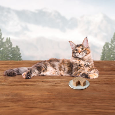 Blue Buffalo Wilderness Canned Cat Food Turkey - Image 6 - Blue Buffalo - PetMax Canada