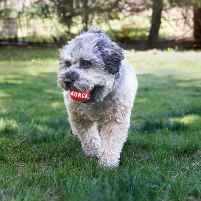 Kong Signature Balls Dog Toy - 2 Pack