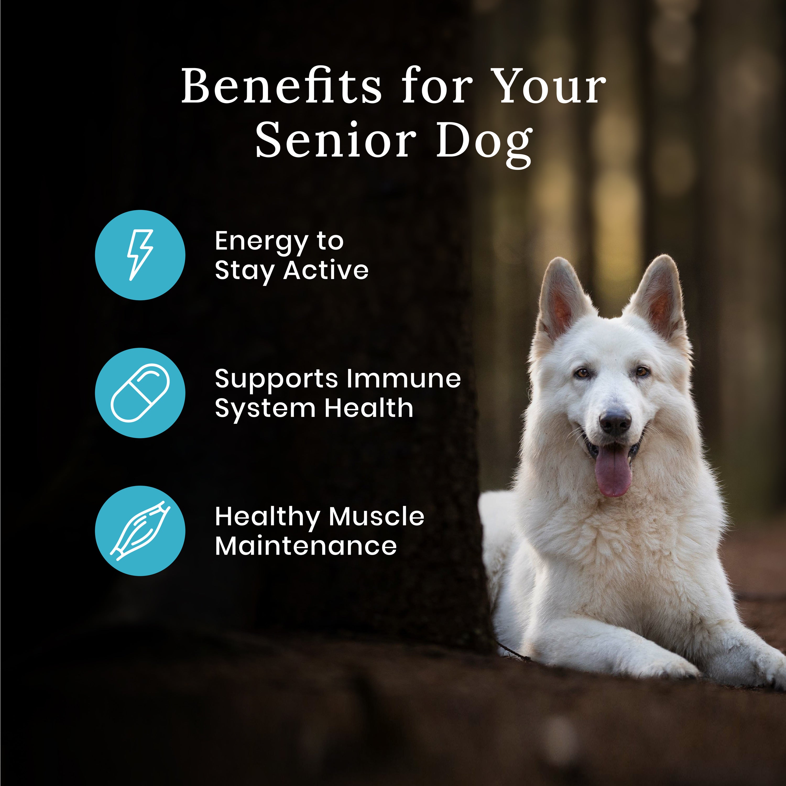 Blue Buffalo Wilderness Senior Dog Food - Image 4 - Blue Buffalo - PetMax Canada