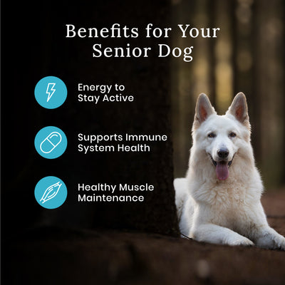Blue Buffalo Wilderness Senior Dog Food - Image 4 - Blue Buffalo - PetMax Canada