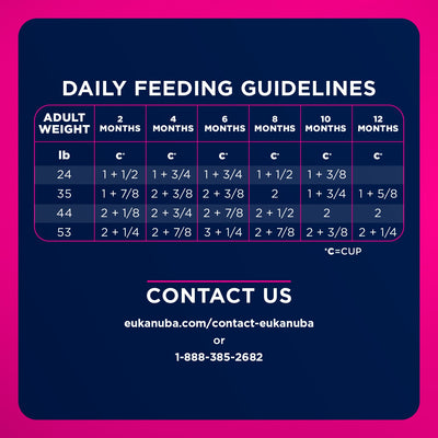 Daily feeding guidelines - Eukanuba Puppy Medium Breed Dry Dog Food - PetMax Canada