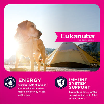 Energy and immune system support - fats, carbohydrates and vitamin E for active seniors - Eukanuba Senior Large Breed - PetMax Canada
