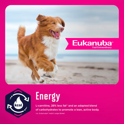 Energy - L-carnitine, 28% less fat and adapted carbohydrates - Eukanuba WM Weight Management Large Breed - PetMax Canada