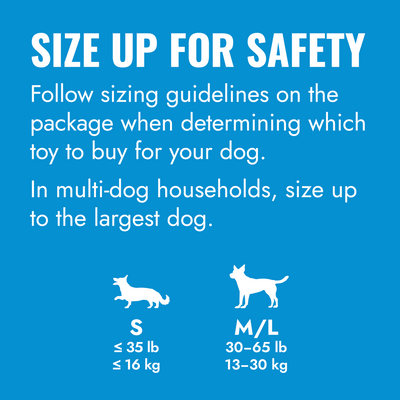 Kong Puppy Ball With Hole