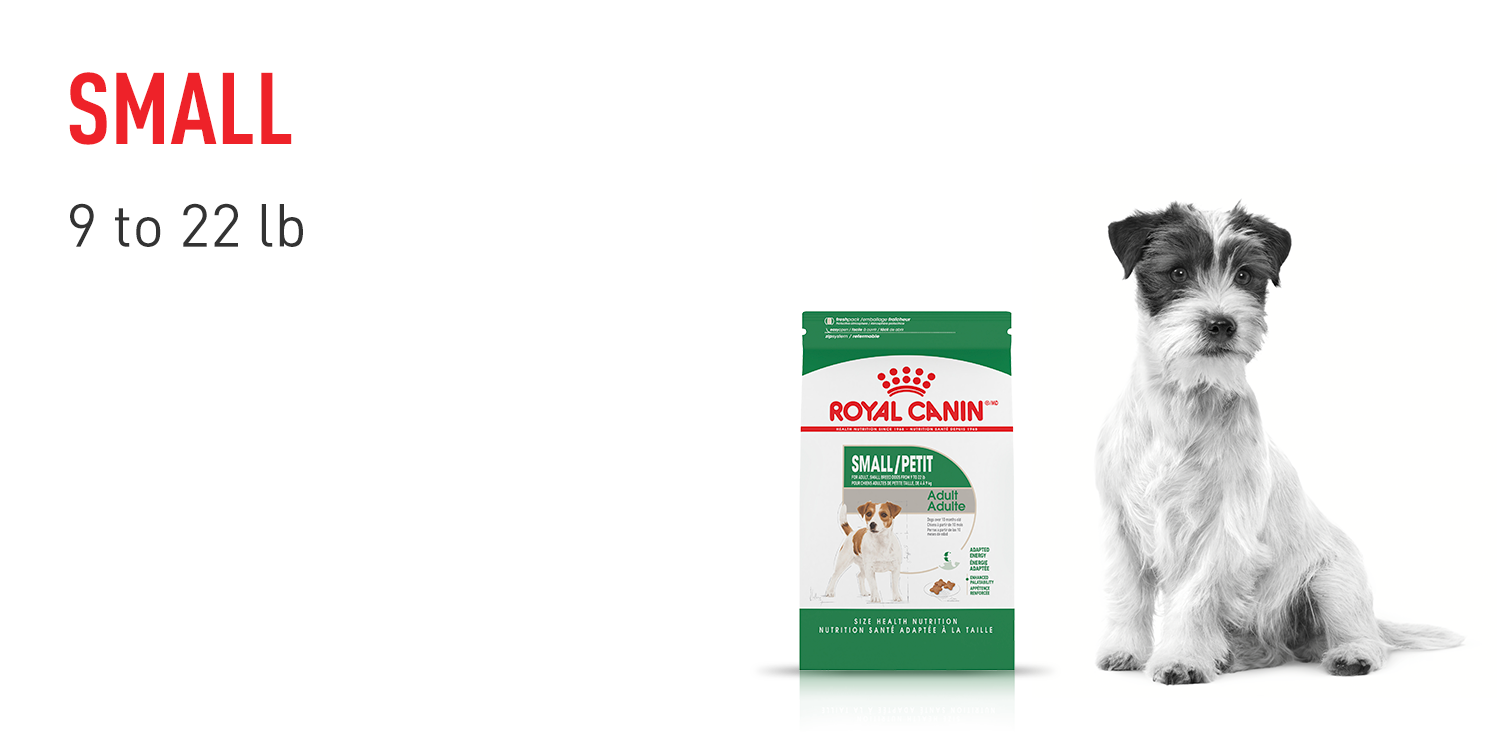 Royal Canin Size Health Nutrition Small: Tailored Nutrition for Small Dogs 9-22 lbs - Discover Our Premium Dog Food Now!