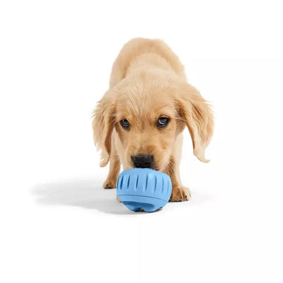 Woof The Pupsicle In Blue