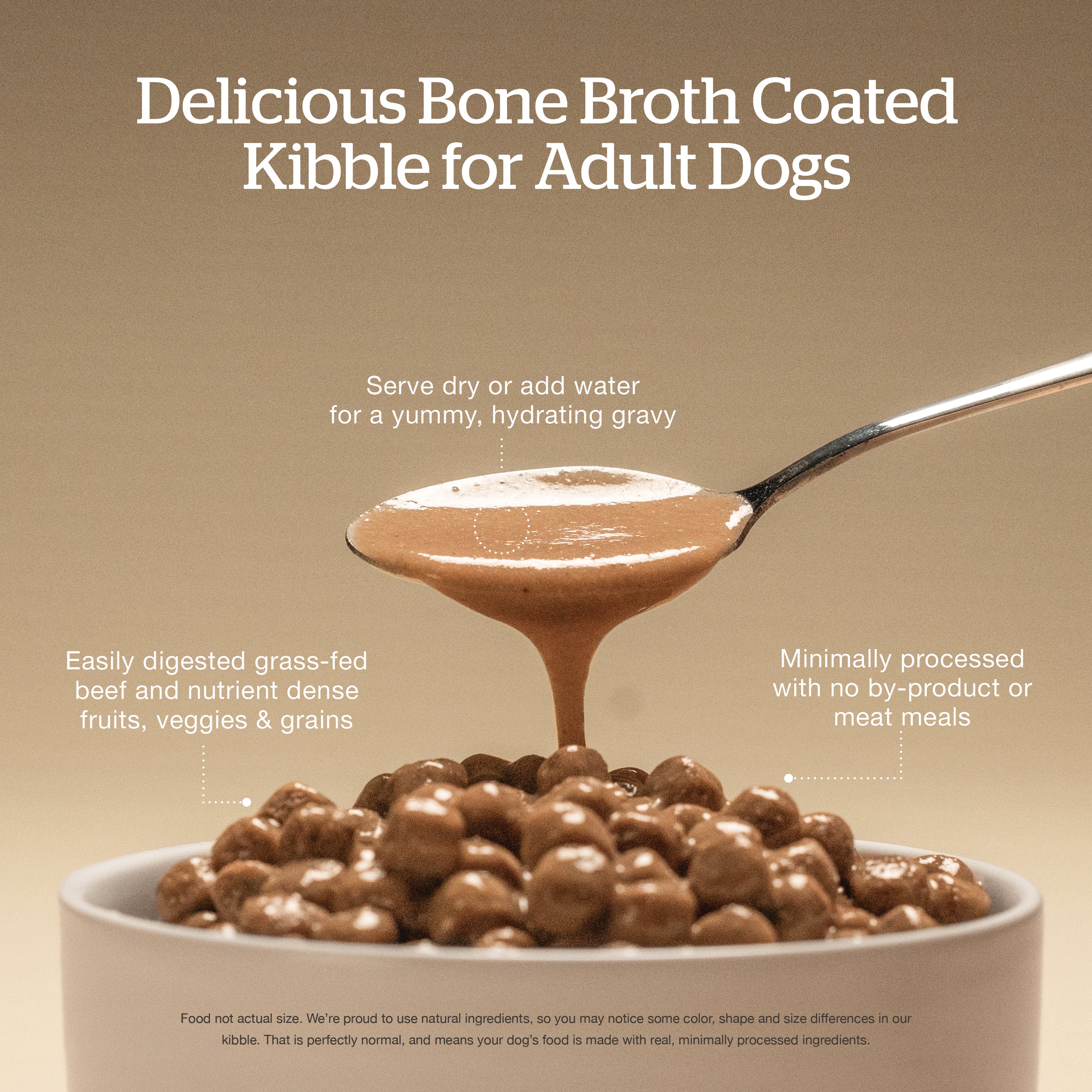 Now Fresh Good Gravy Beef Coated in Bone Broth for Dogs