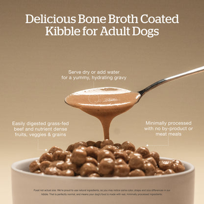 Now Fresh Good Gravy Beef Coated in Bone Broth for Dogs