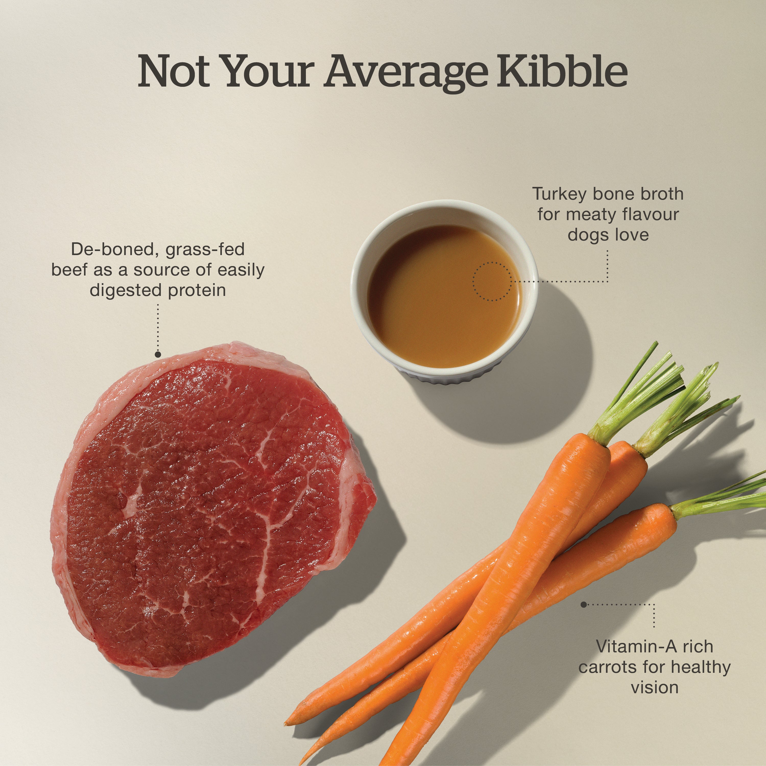 Now Fresh Good Gravy Beef Coated in Bone Broth for Dogs