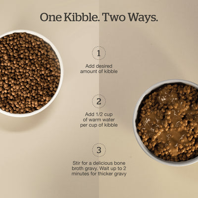 Now Fresh Good Gravy Chicken Coated in Bone Broth for Cats