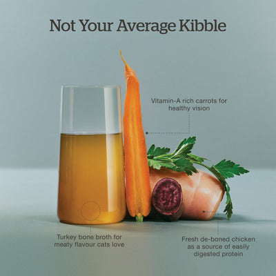 Now Fresh Good Gravy Chicken Coated in Bone Broth for Cats