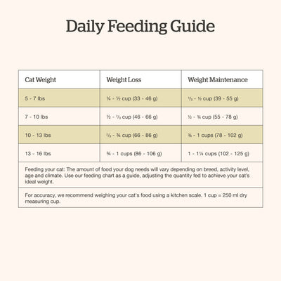 Now Fresh Good Gravy Chicken Coated in Bone Broth for Cats