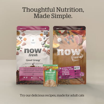 Now Fresh Good Gravy Chicken Coated in Bone Broth for Cats