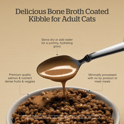 Now Fresh Good Gravy Salmon Coated in Bone Broth for Cats