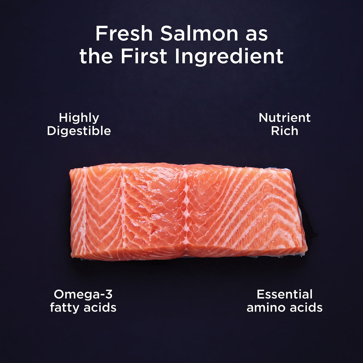 Go! Solutions Healthy Aging Grain-Free Salmon + Duck Recipe Dry Cat Food - Fresh salmon as the first ingredient - PetMax Canada
