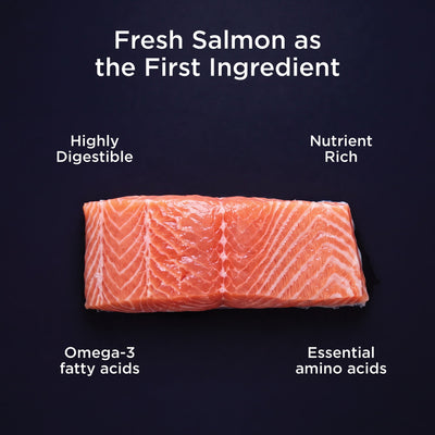 Go! Solutions Healthy Aging Salmon + Duck Recipe With Grains Dry Dog Food - Fresh salmon as the first ingredient - PetMax Canada
