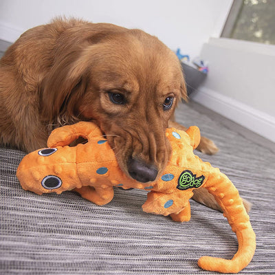 goDog Amphibianz Gecko Plush Dog Toy - Orange - golden retriever playing with the gecko - PetMax Canada