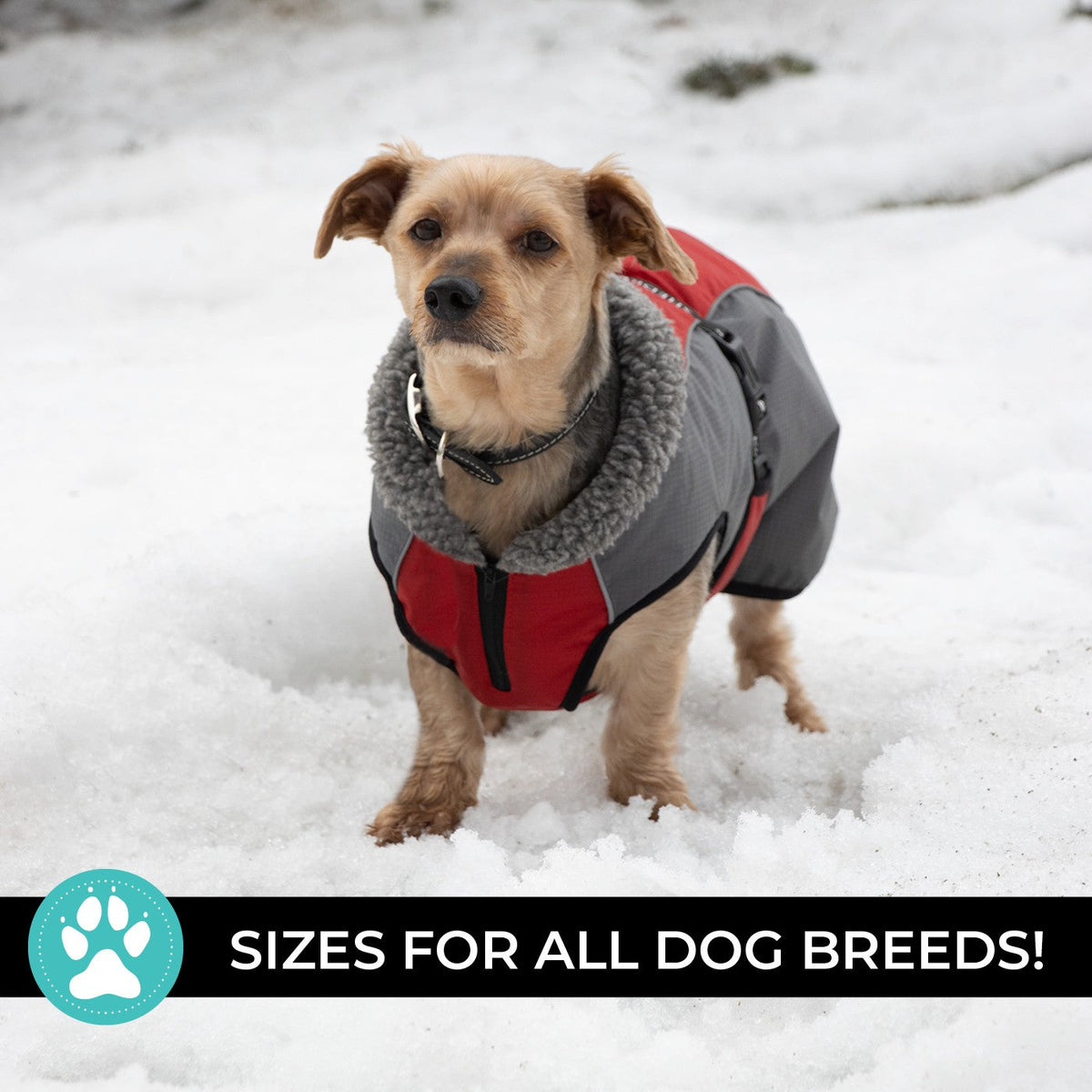 Shedrow K9 Chinook Dog Coat Equestrian Red - Coats - Shedrow K9 - PetMax Canada