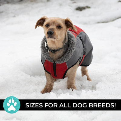 Shedrow K9 Chinook Dog Coat Equestrian Red - Coats - Shedrow K9 - PetMax Canada