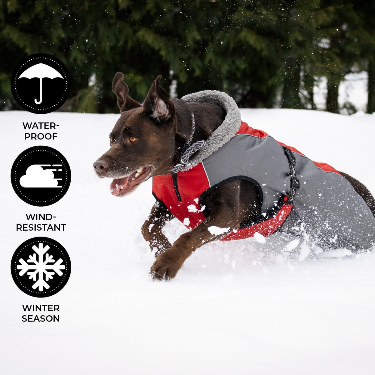 Shedrow K9 Chinook Dog Coat Equestrian Red - Coats - Shedrow K9 - PetMax Canada