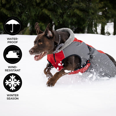 Shedrow K9 Chinook Dog Coat Equestrian Red - Coats - Shedrow K9 - PetMax Canada