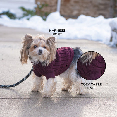 Shedrow K9 Brentwood Cable Knit Sweater Wine Tasting - Clothing - Shedrow K9 - PetMax Canada
