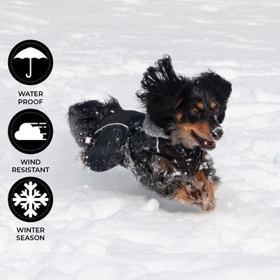 Shedrow K9 Chinook Dog Coat Black - Coats - Shedrow K9 - PetMax Canada