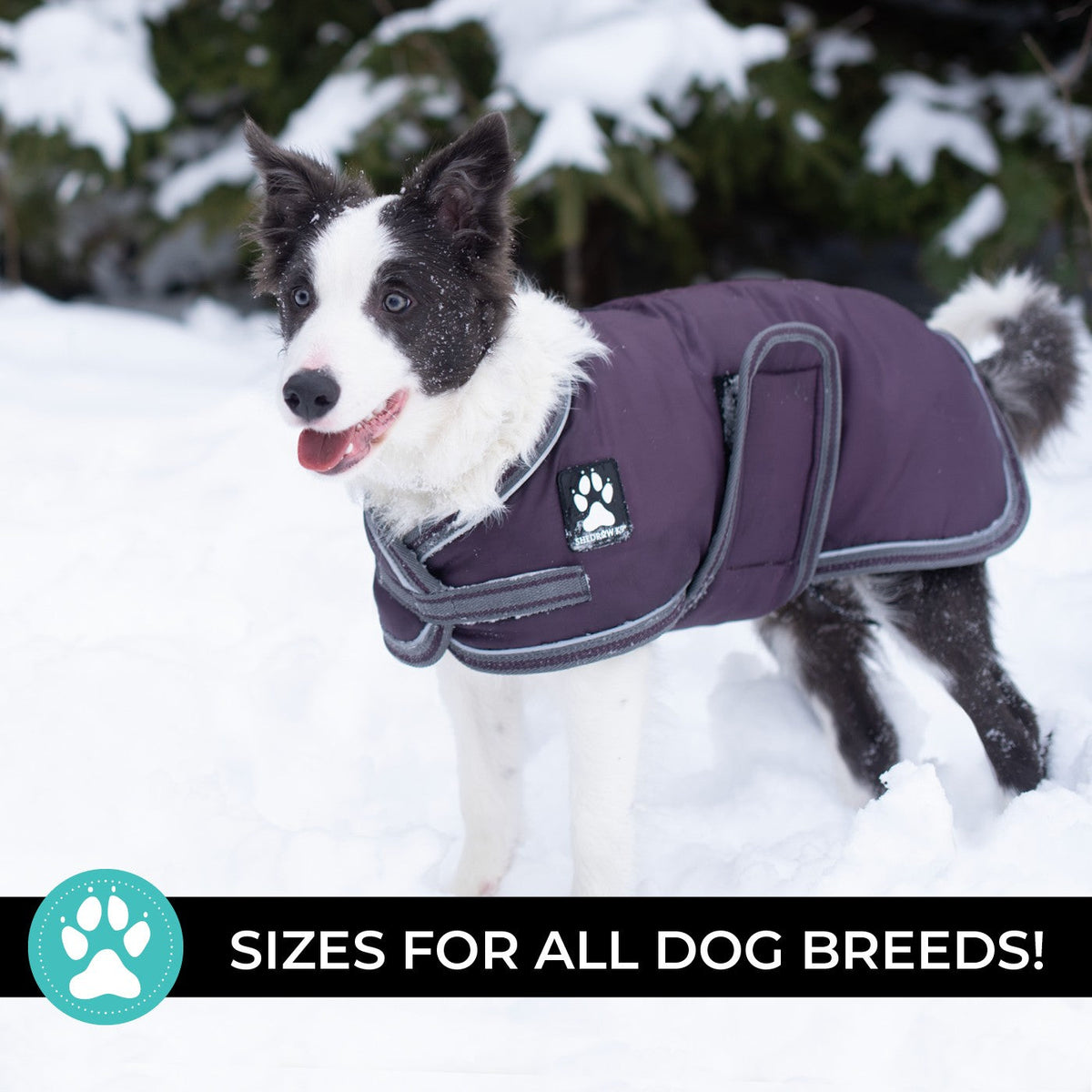 Shedrow K9 Vail Dog Coat Wine Tasting - Coats - Shedrow K9 - PetMax Canada