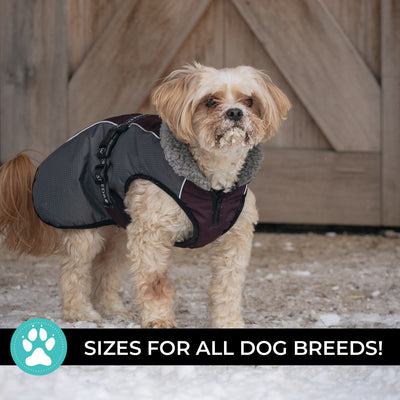 Shedrow K9 Chinook Dog Coat Wine Tasting - Coats - Shedrow K9 - PetMax Canada
