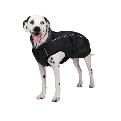 Shedrow K9 Chinook Dog Coat Black - Coats - Shedrow K9 - PetMax Canada