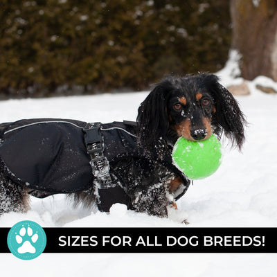 Shedrow K9 Chinook Dog Coat Black - Coats - Shedrow K9 - PetMax Canada