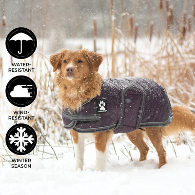 Shedrow K9 Vail Dog Coat Wine Tasting - Coats - Shedrow K9 - PetMax Canada