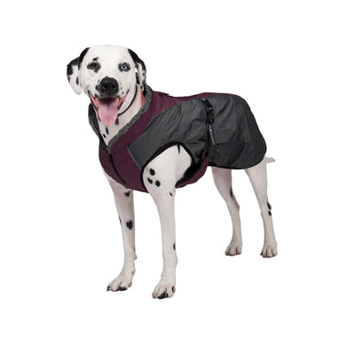 Shedrow K9 Chinook Dog Coat Wine Tasting - Coats - Shedrow K9 - PetMax Canada