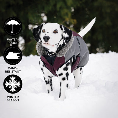 Shedrow K9 Chinook Dog Coat Wine Tasting - Coats - Shedrow K9 - PetMax Canada