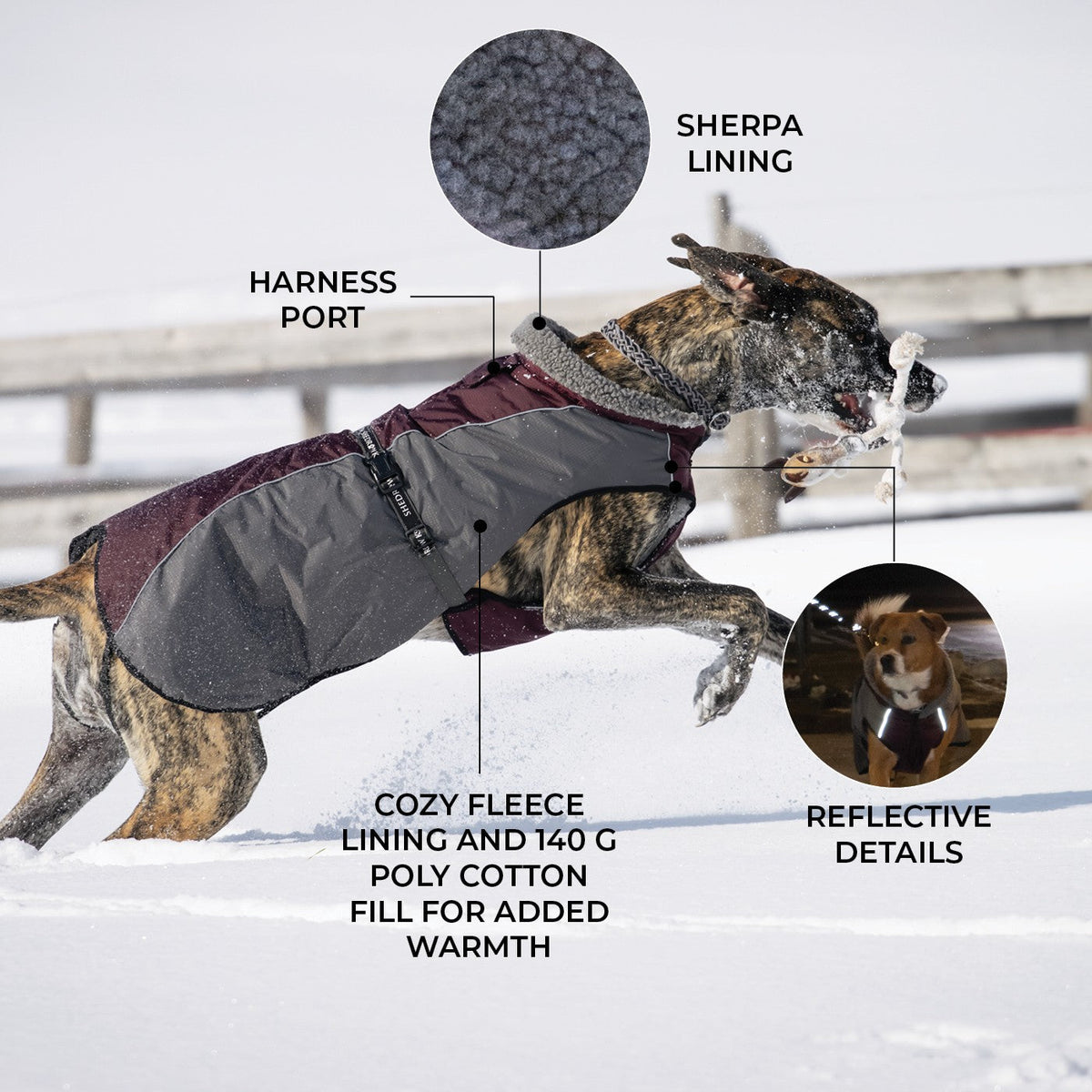 Shedrow K9 Chinook Dog Coat Wine Tasting - Coats - Shedrow K9 - PetMax Canada