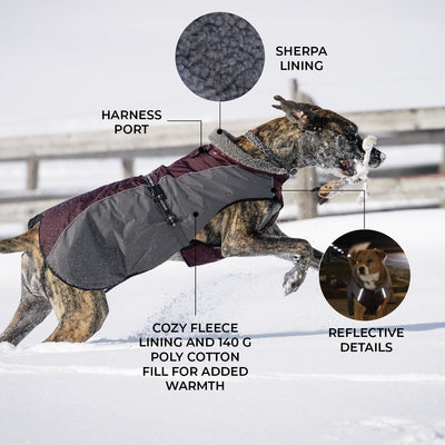 Shedrow K9 Chinook Dog Coat Wine Tasting - Coats - Shedrow K9 - PetMax Canada