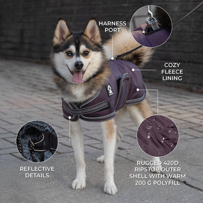Shedrow K9 Vail Dog Coat Wine Tasting - Coats - Shedrow K9 - PetMax Canada