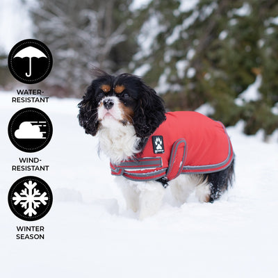 Shedrow K9 Vail Dog Coat Equestrian Red - Coats - Shedrow K9 - PetMax Canada