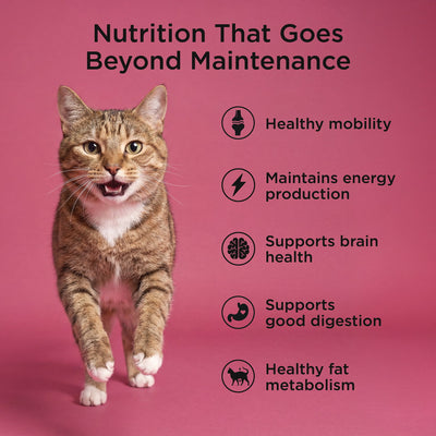 Go! Solutions Healthy Aging Grain-Free Salmon + Duck Recipe Dry Cat Food - Healthy mobility, energy, brain health and digestion benefits - PetMax Canada