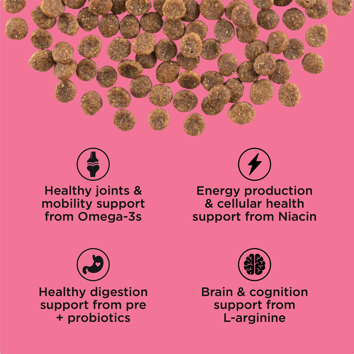 Go! Solutions Healthy Aging Grain-Free Salmon + Duck Recipe Dry Cat Food - Kibble with omega-3, niacin, probiotic and L-arginine benefits - PetMax Canada